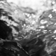 Water III 2019