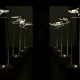 My Private Arsenal (Night Shot II) 2008
