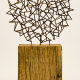 Imolium II 2009
